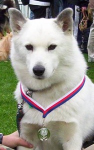 Falko s medailí :-)