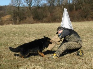 Rex a figurant Marek Ostrčilík