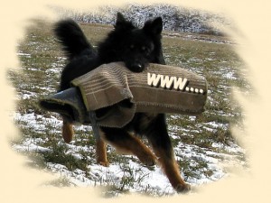 rex-www.jpg